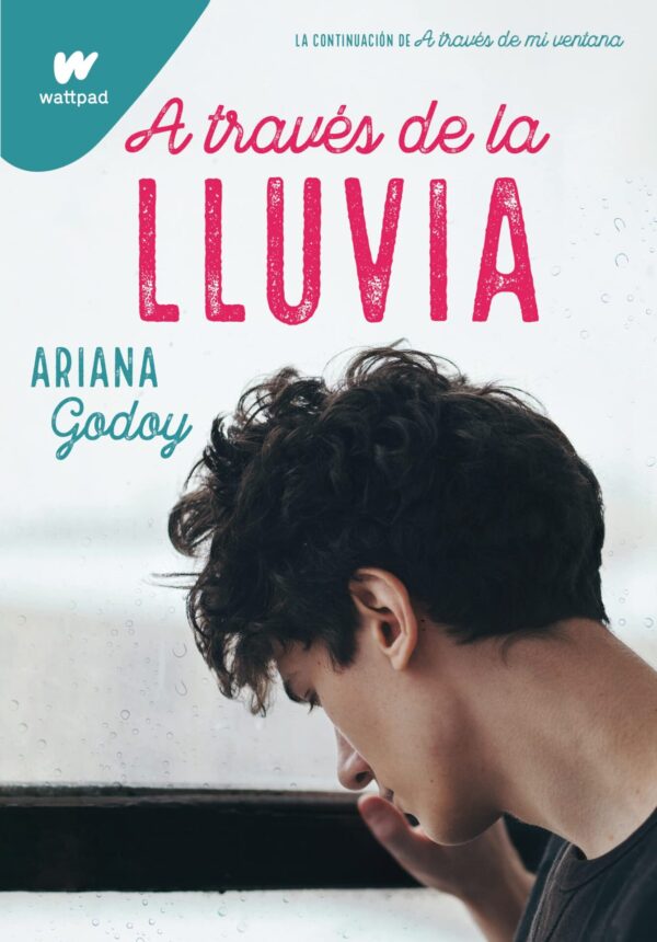 A través de mi ventana 3: A través de la lluvia de Ariana Godoy