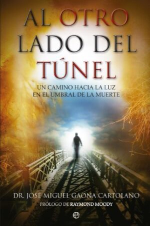 Al otro lado del túnel de José Miguel Gaona Cartolano