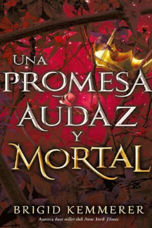 Una maldición oscura y solitaria 3: Una promesa audaz y mortal de Brigid Kemmerer