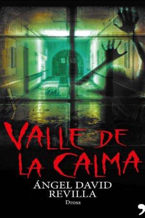 Valle de calma de Ángel Davila Revilla (Dross)